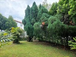 Hillcrest Park (D11), Semi-Detached #578135241